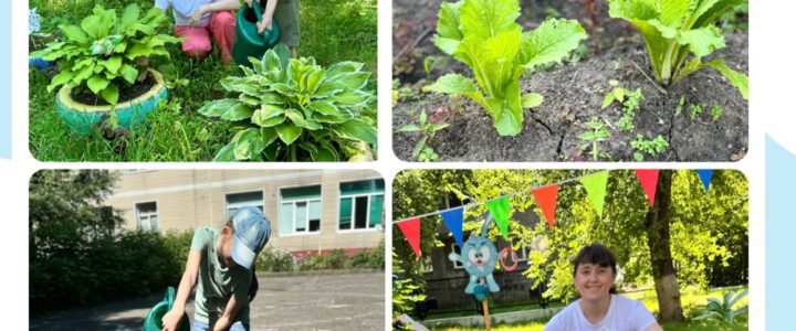 Мы сажали огород, что там только не растет … 👩‍🌾