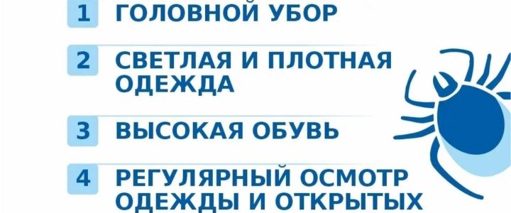 Осторожно — клещи!
