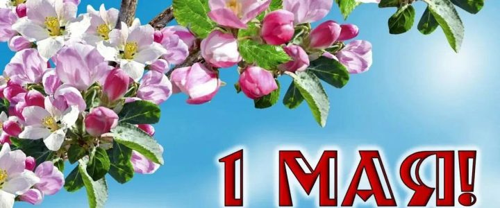 От всей души Поздравляем Вас с Первомаем! 🌸