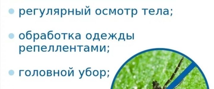 Профилактика укусов клеща !